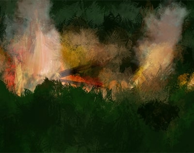 Forest Fire